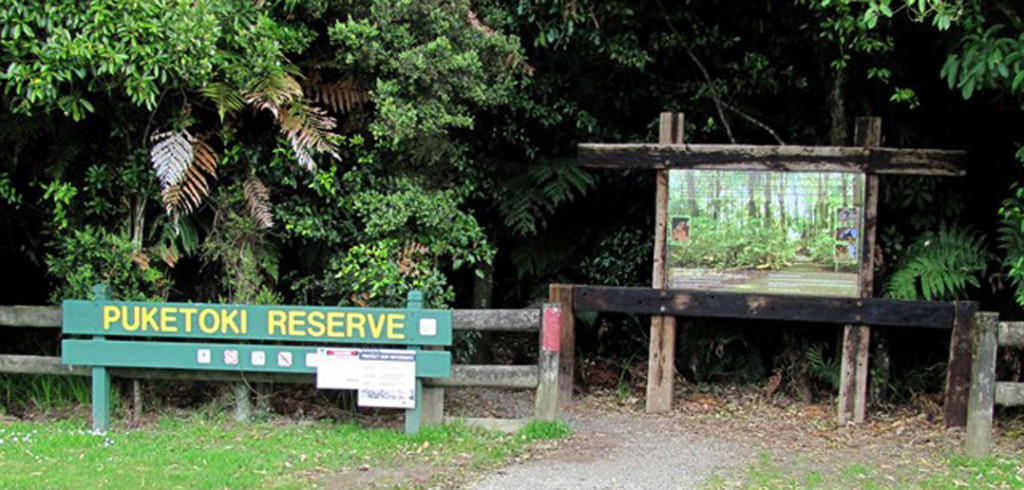 Puketoki Reserve, Leyland Road Whakamarama
