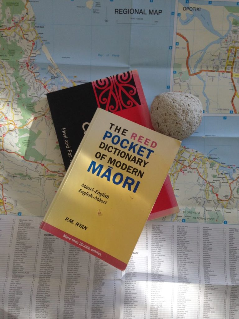 uPflash: Te Reo Maori at Whakamarama School