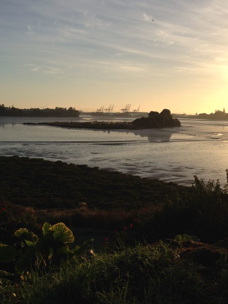 Coming Up: spoilt for choice around the Bay
