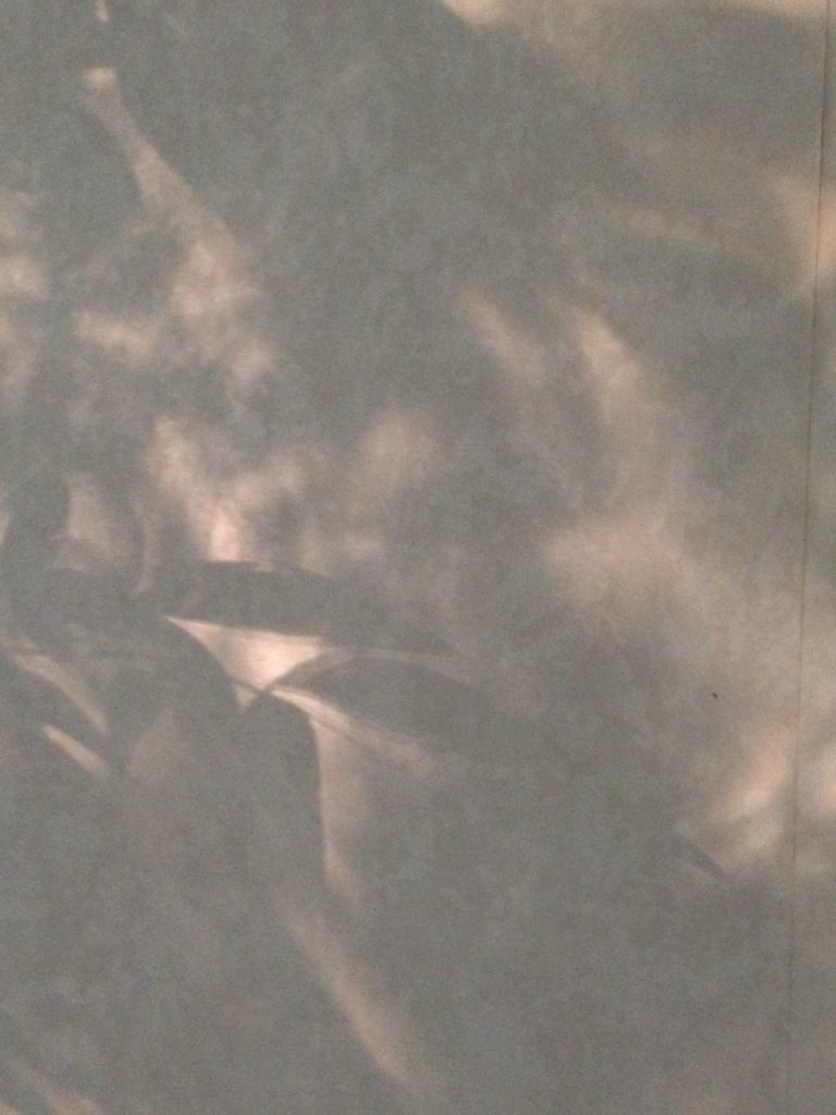 Doppelganger: a Nick Scott short story